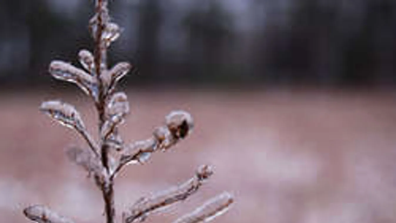 Durvul az időjárás! Az esernyő ma már nem lesz elég!