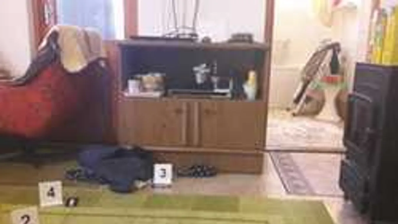 Kiderült: ezért ölte meg a foktői nő az édesanyját