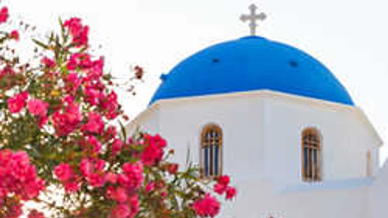 Mikor tehetjük ki újra a kertbe a leandert?