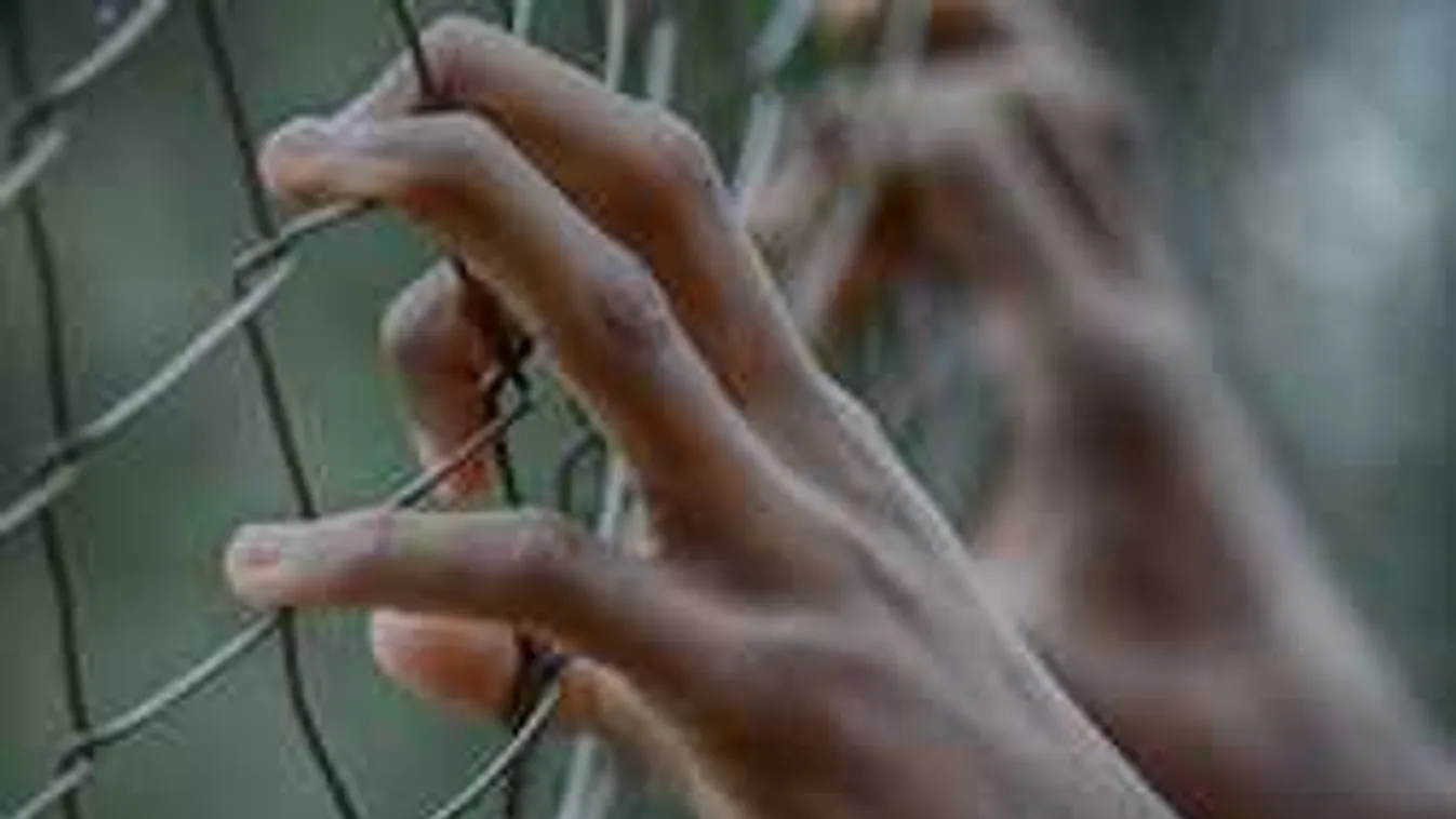 Válogatás nélkül ölt a szabadkai férfi: cellatársa vallott a vajdasági mészárosról