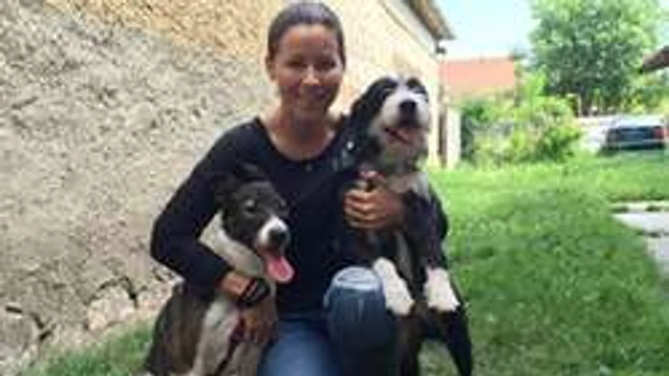 Tornóczky Anita szerint Orbán posztja reményt ad az állatvédőknek...