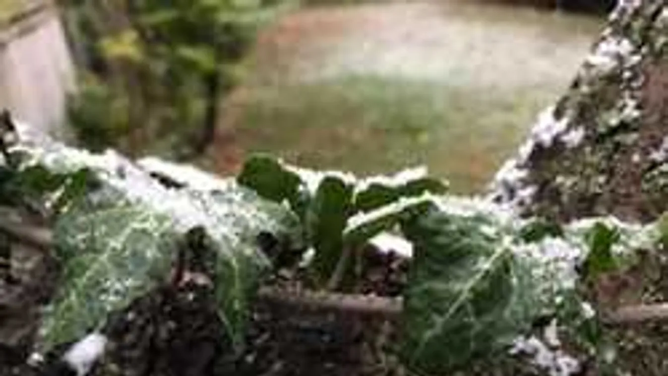 Havazik az országban, itt vannak az első fotók