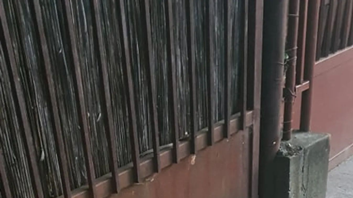 Itt történt a tragédia – Fotók Szilágyi István házából