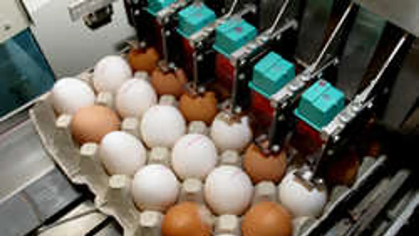 Elképesztő variálás folyik a piacon: Így lesz magyar a külföldi tojásból