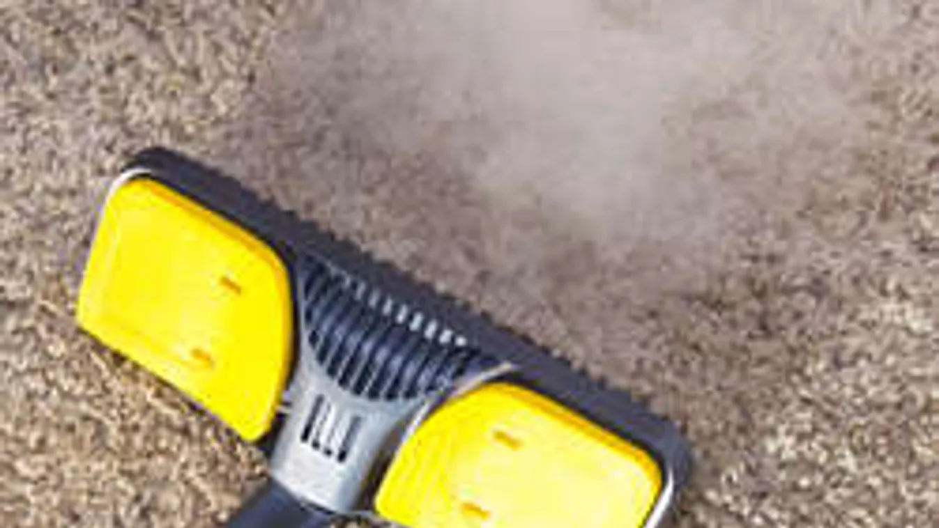 Ha ezt látod a szőnyegen, nincs mese, ki kell tisztítanod