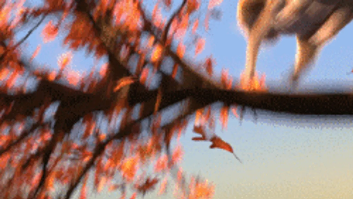 Megjöttek a reggeli fagyok: még koránt sincs vége, újabb front érkezik