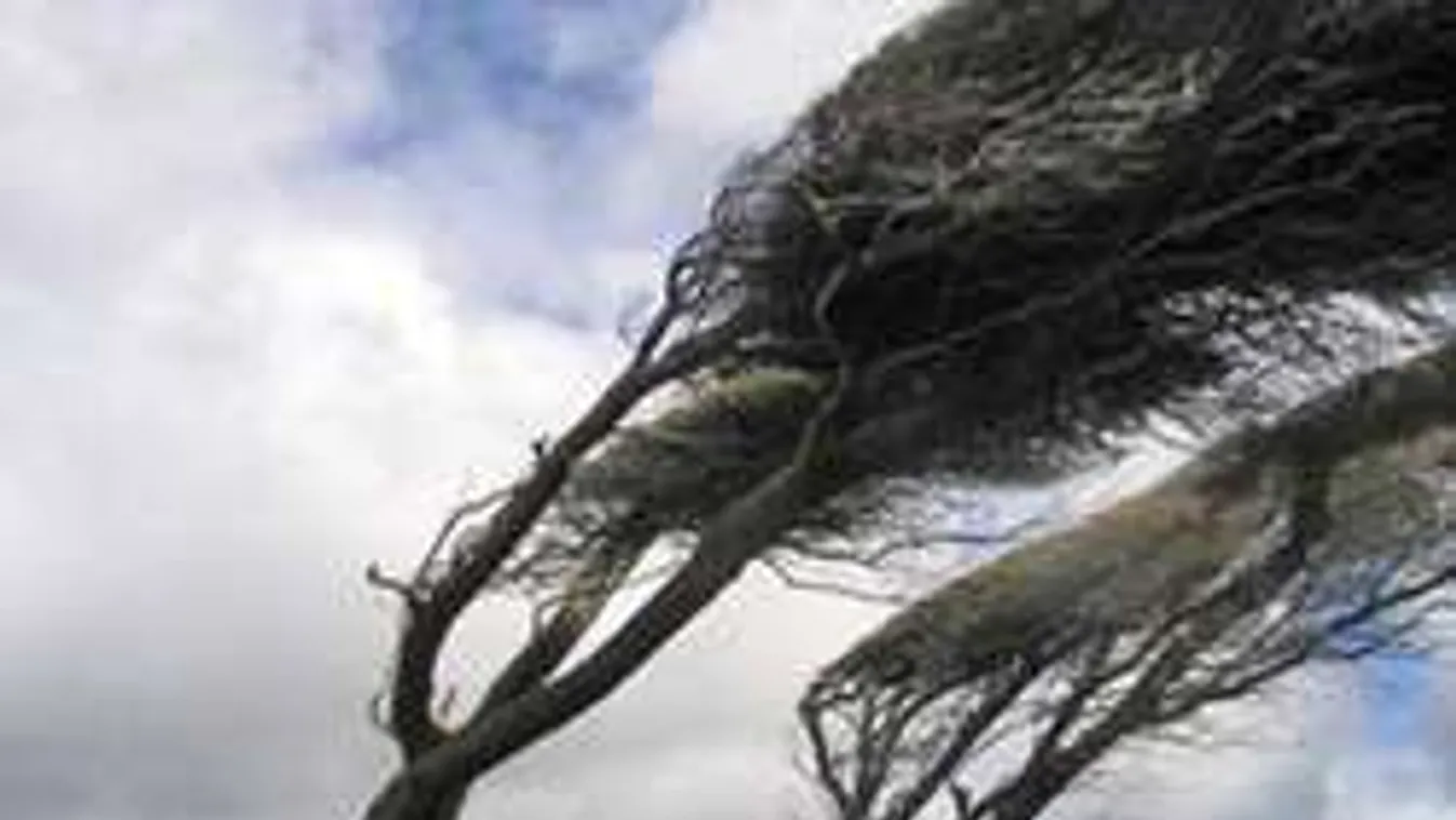 Kapaszkodjunk! Viharos lesz a szél!