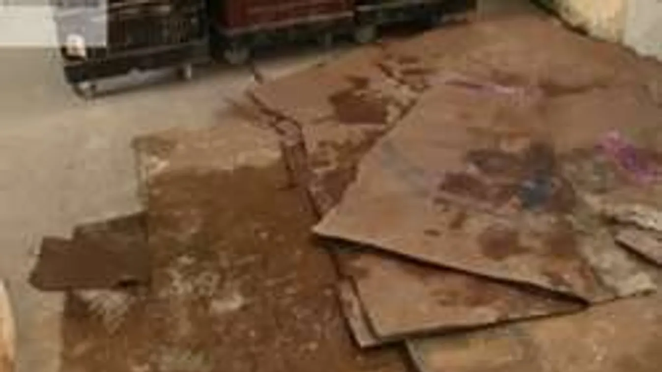 Egérürülék, cigicsikkek és penész borította be a pékséget