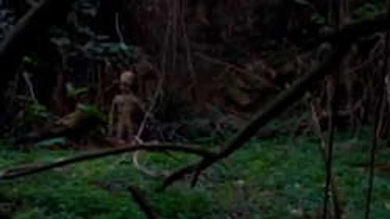 Bottal küldte padlóra az őrjöngő földönkívülit a megtámadott videós