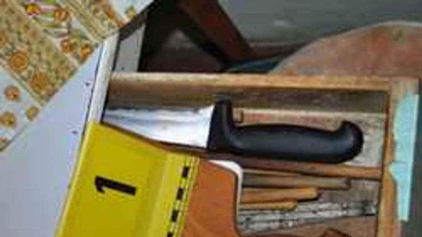 Saját fiát késelte halálra egy férfi a Győr melletti faluban - Videó