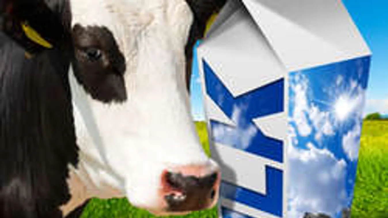 8 étel, amit a szakértők sem ennének meg!