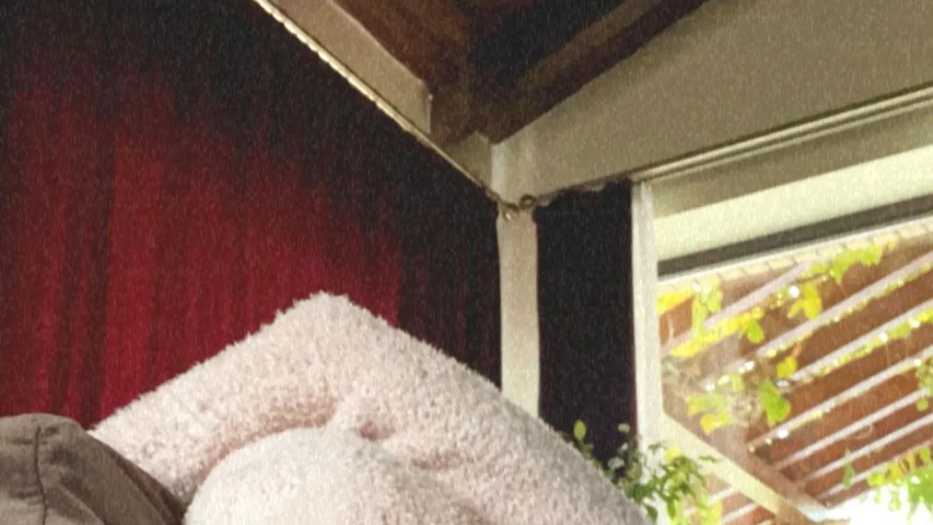 Hosszú Katinka elkapta a koronavírust