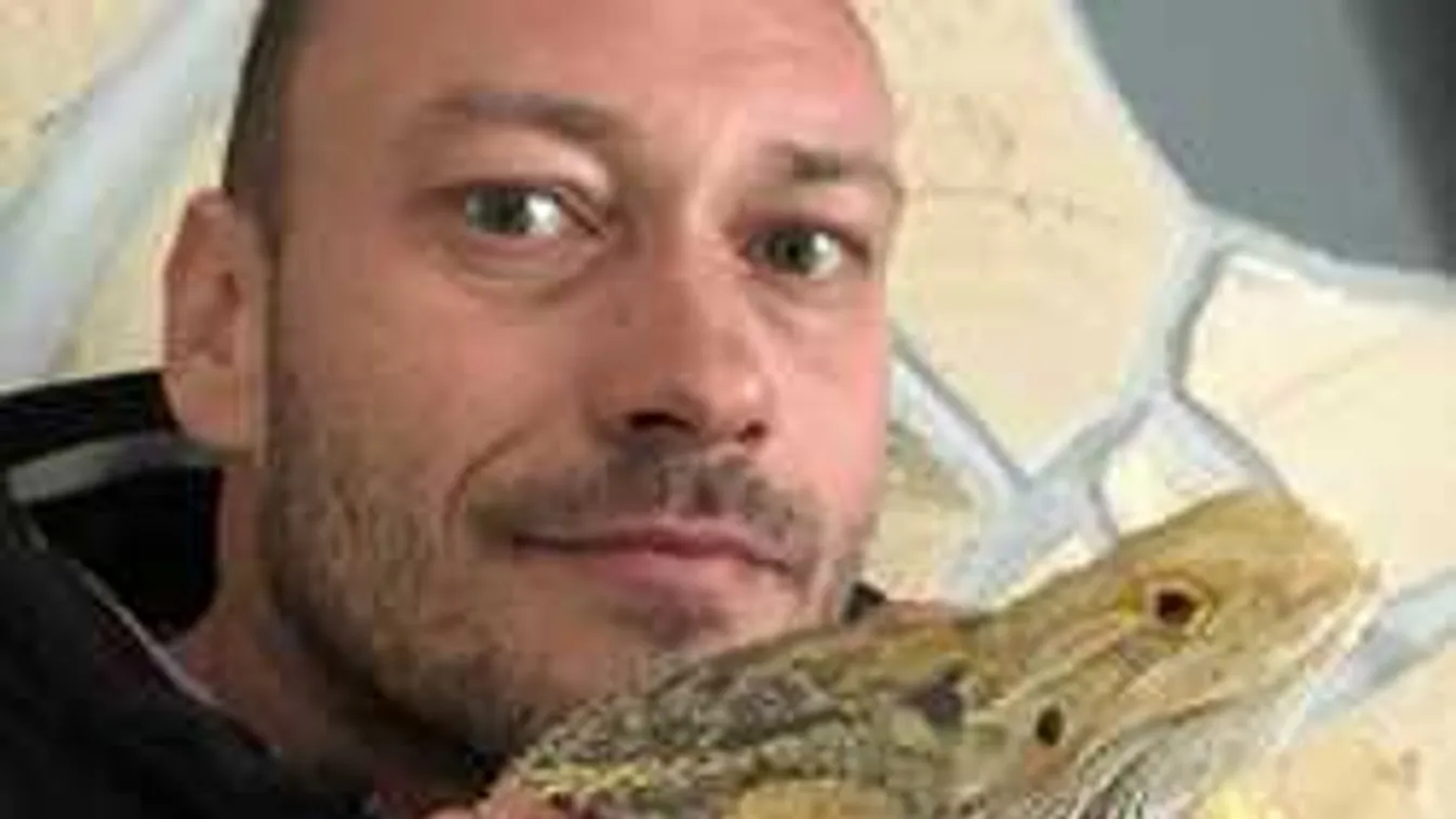 Figyelmeztet a szakember: Ez az, amit tilos karácsonykor