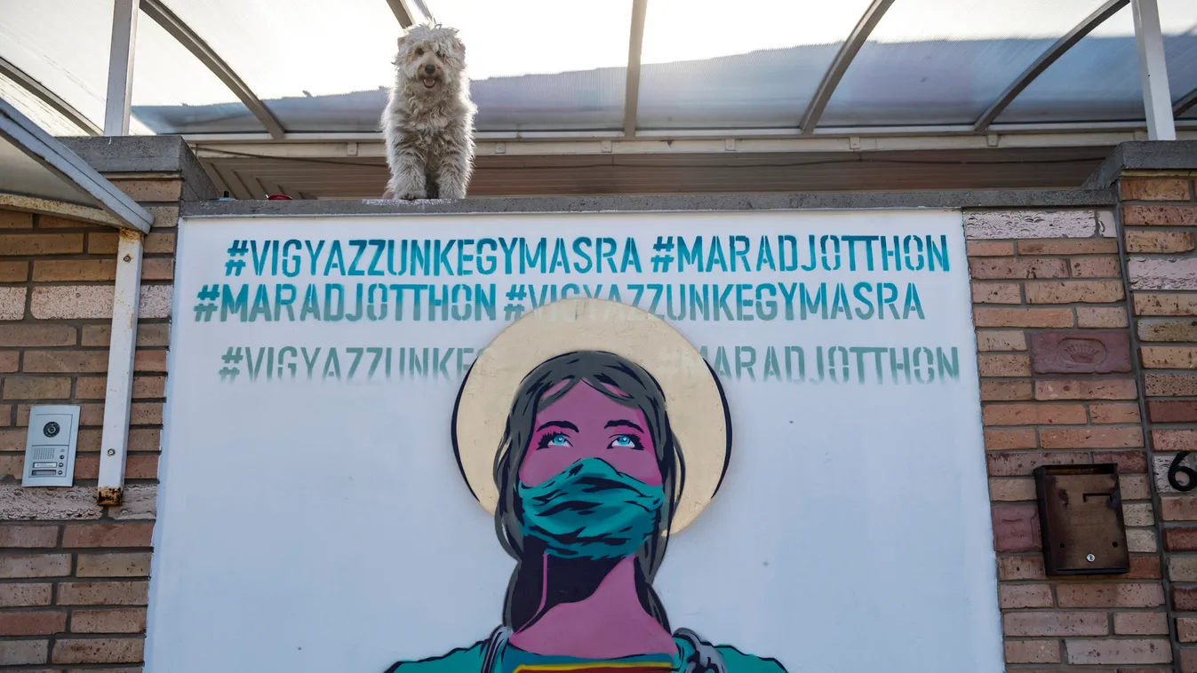 Már a graffitik is a koronavírusról szólnak: Üzentek az utca művészei – Fotók