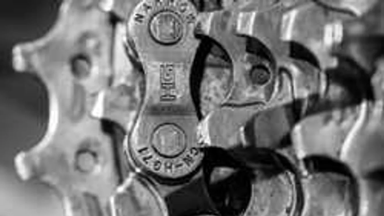 Hazáig követte, majd otthona előtt ájultra erőszakolta a fiatal nőt a biciklis támadó