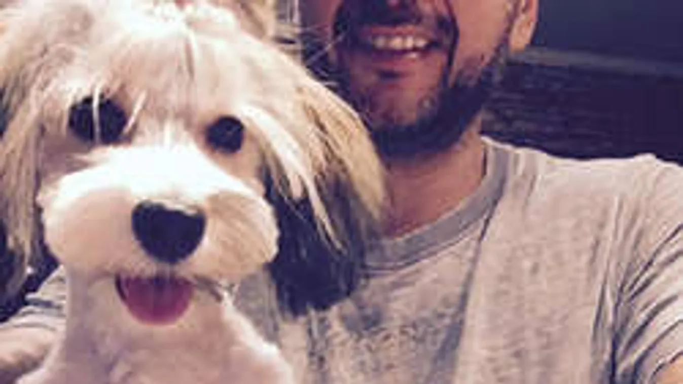 Magadhoz veheted Majka kutyáját, szeretnéd?