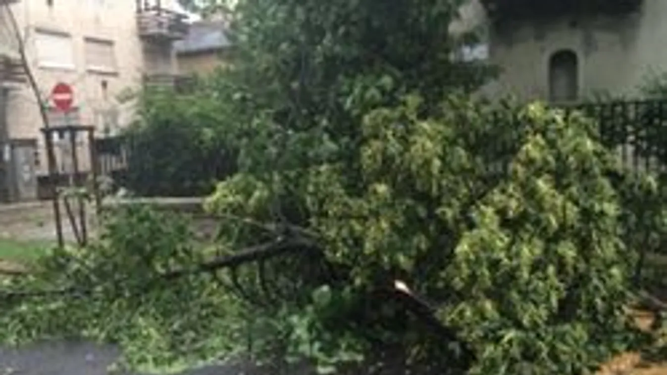 Zugló vesztegzár alatt, elképesztő állapotok