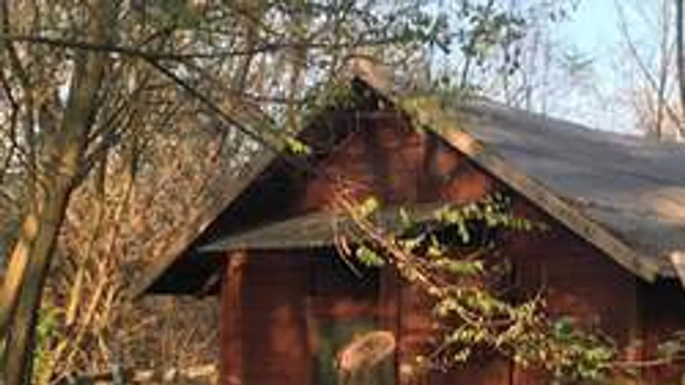 Ez volt a bőnyi rendőrgyilkos rejtekhelye - fotók