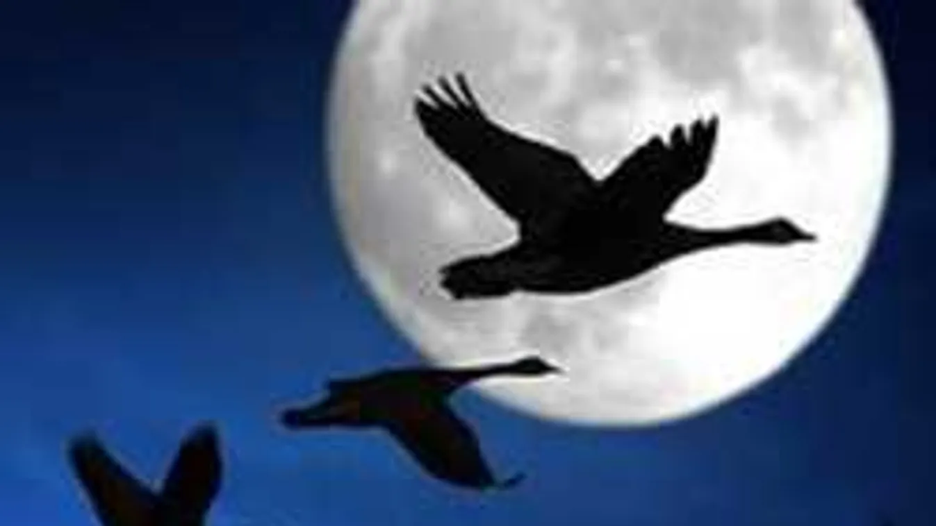 Tízmilliószoros nap, így hat rád holnap a júniusi telihold