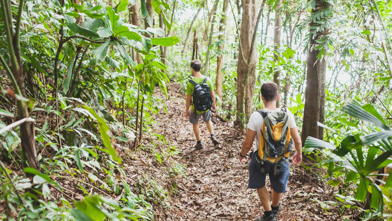 Halálos kőomlás: magyar túrázót ölt meg a zuhanó szikla