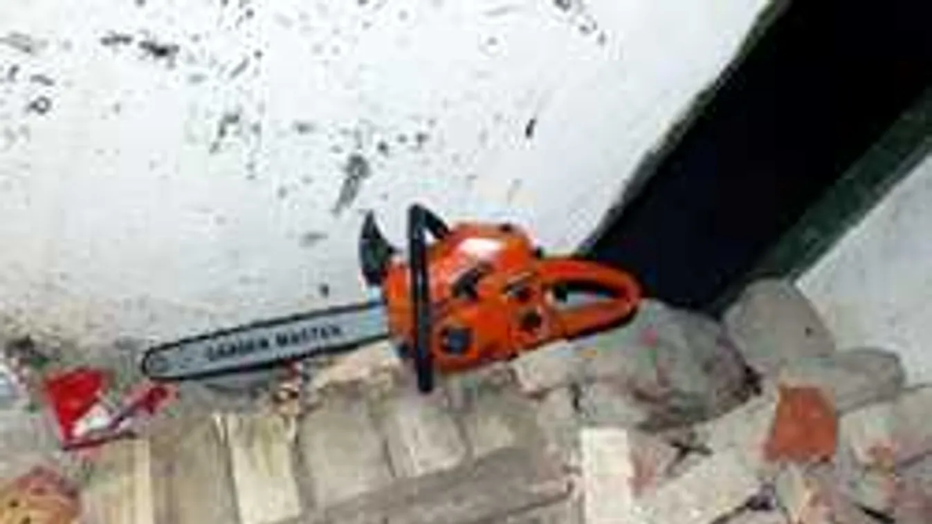 Kiderült: skizofrén a férfi, aki láncfűrésszel támadt az ikertestvérére