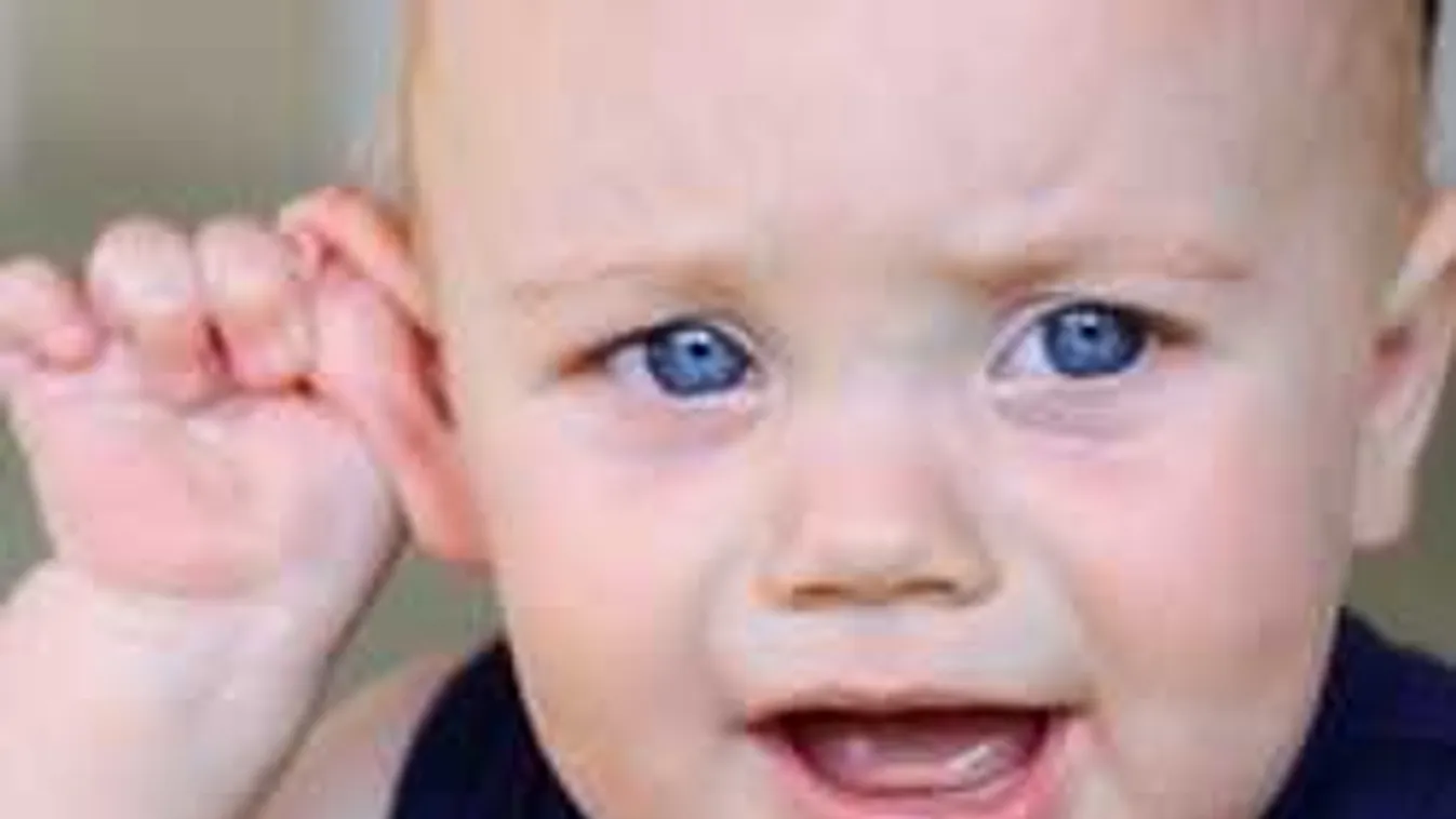 Hihetetlen, de ezt is képes meggyógyítani a fokhagyma