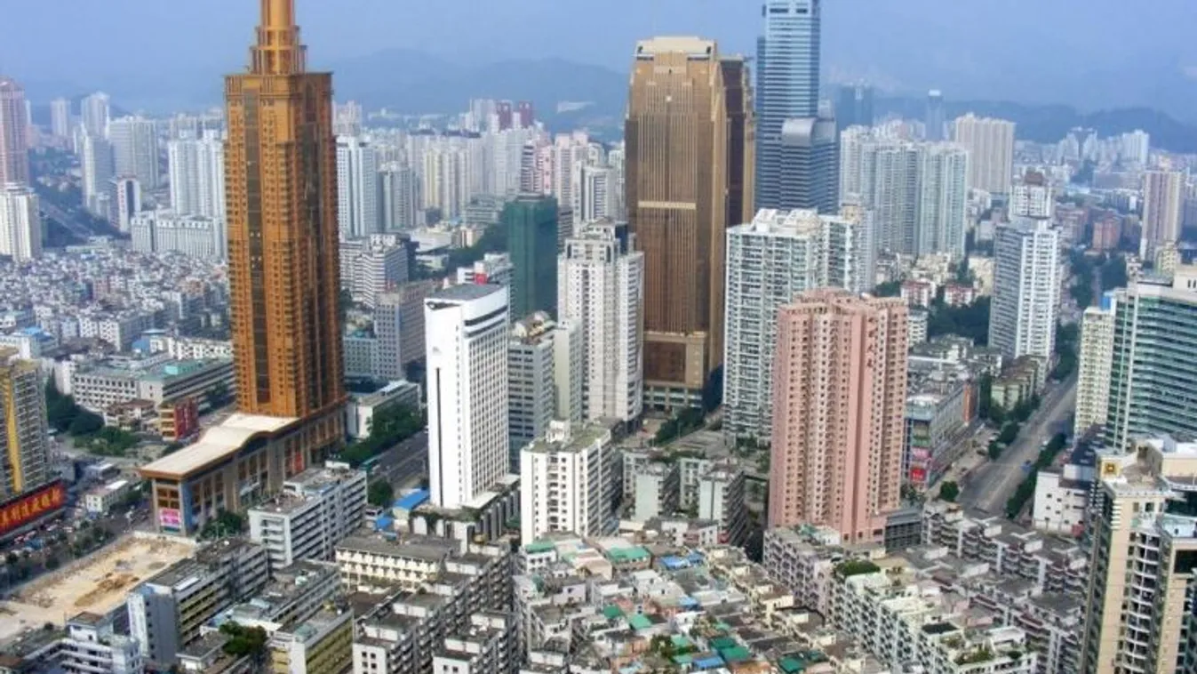 Betiltják a kutya- és macskahús fogyasztását Sencsenben