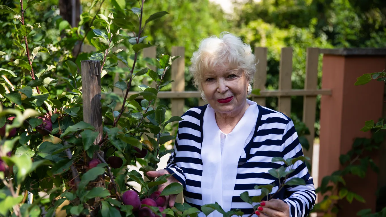 Durva baleset: Maradandó sérülést szenvedett Torgyán József özvegye