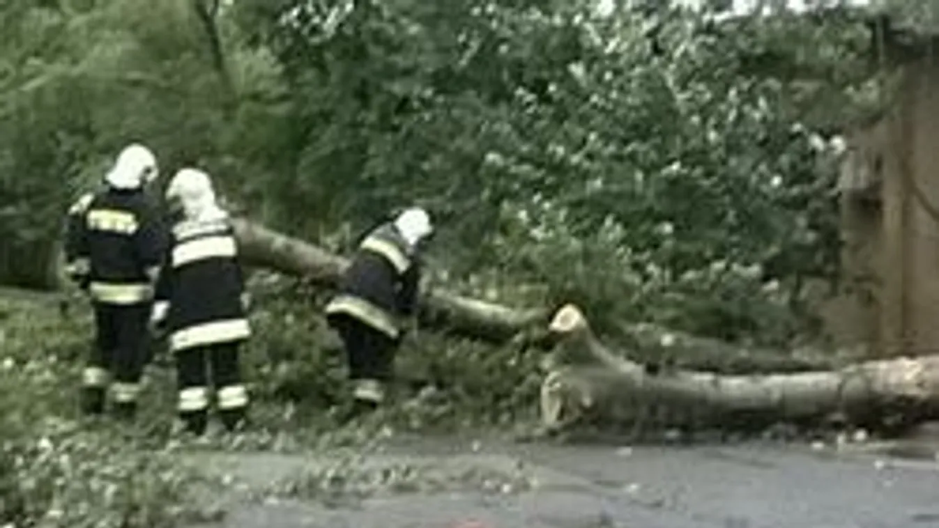 Özönvíz Budaörsön, hatalmas fák dőltek ki! Fotók!