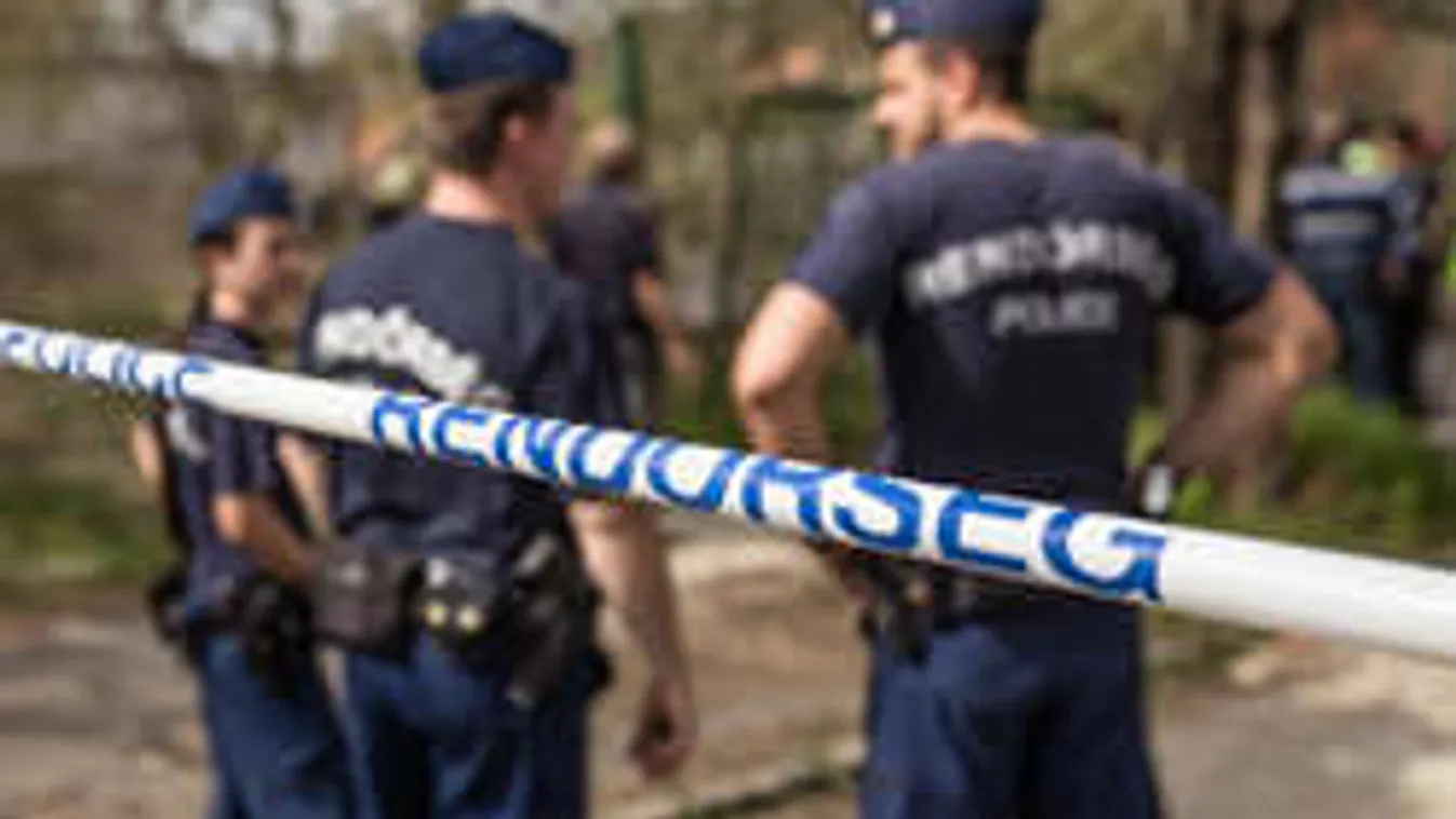 Bréking! Vízihullát találtak Tunyogmatolcson!