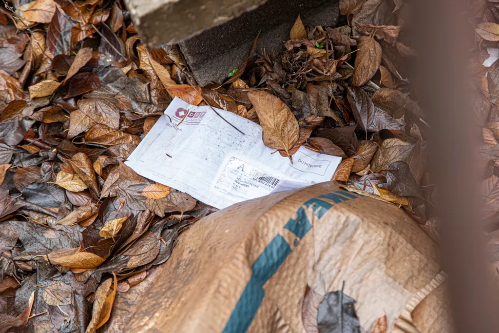 Szilágyi István háza