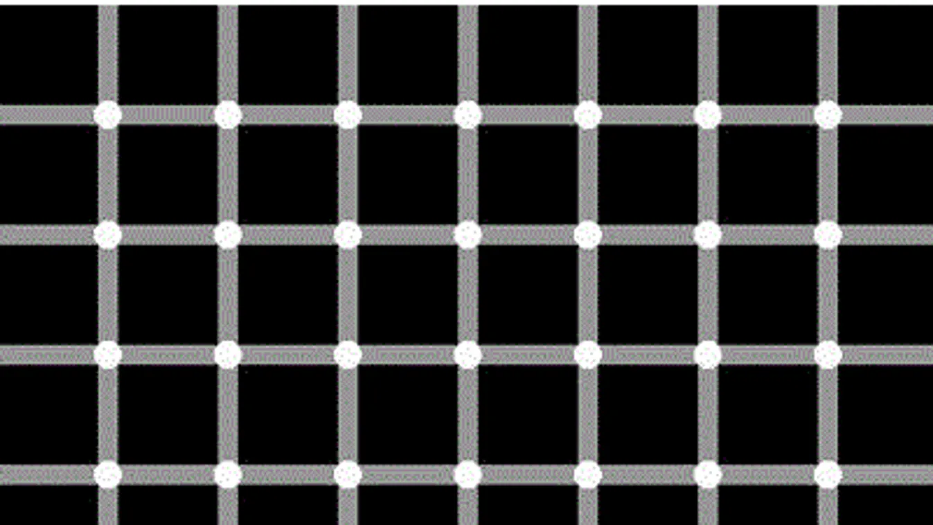 Ezt látnod kell: hány fekete pontot tudsz megszámolni a képen?