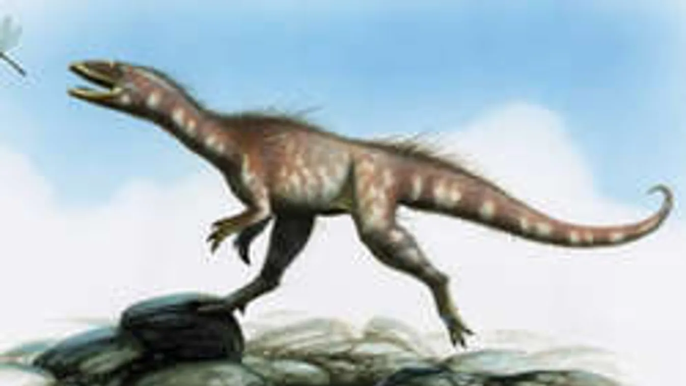 Sárkányrabló dinoszauruszt találtak Walesben!