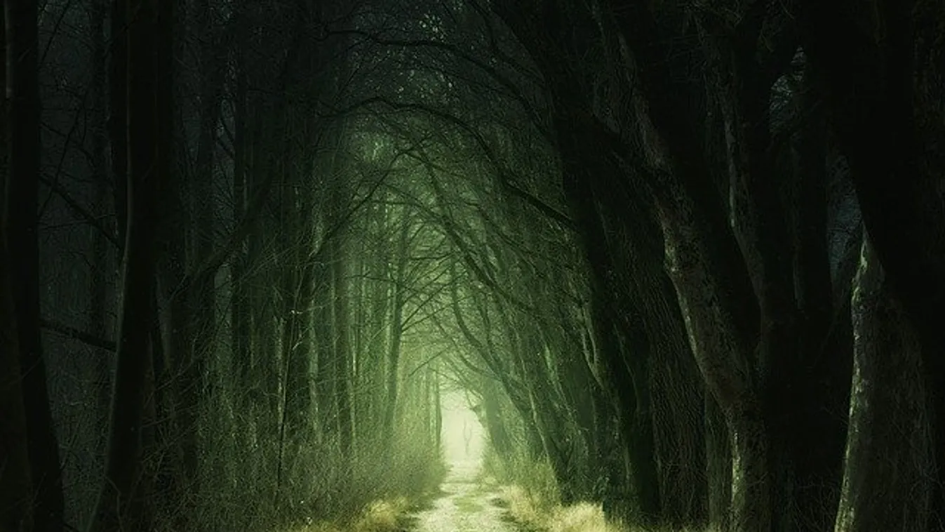 Nincs erre magyarázat! Hátborzongató lényt kaptak le egy erdőben