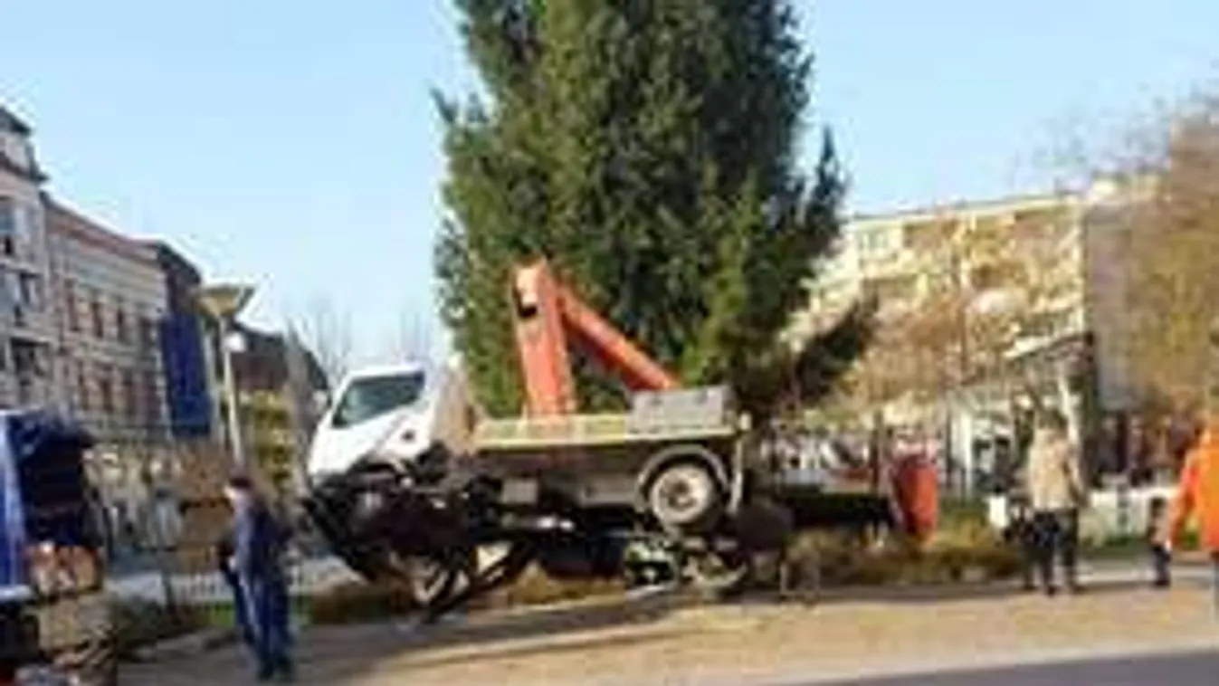 Jön a karácsony: ilyen faállítást még nem láttál!