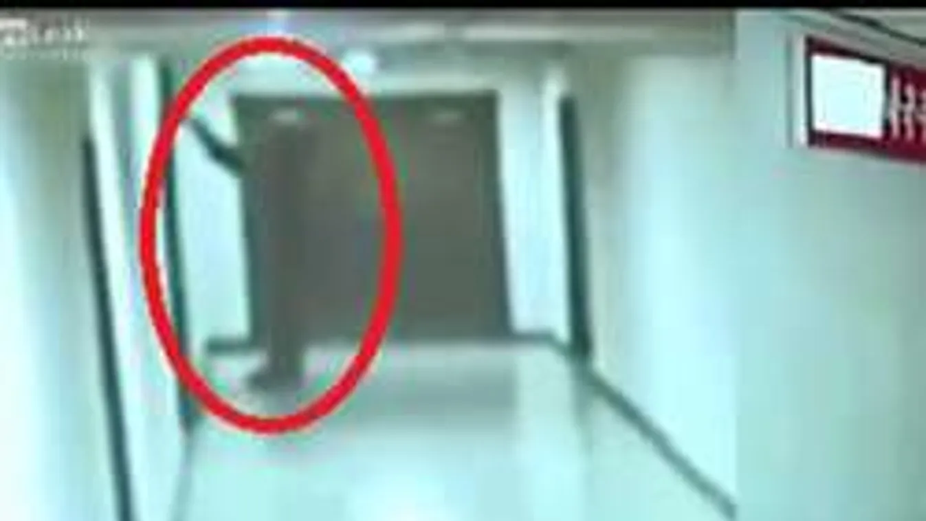 Ezért kapott 15 év kényszermunkát az amerikai diák