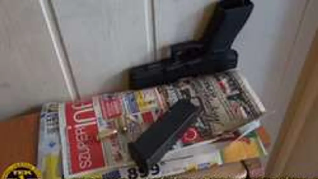 Hidegvérrel lőtte agyon anyját a tatabányai férfi, majd bepiált a holttest mellett