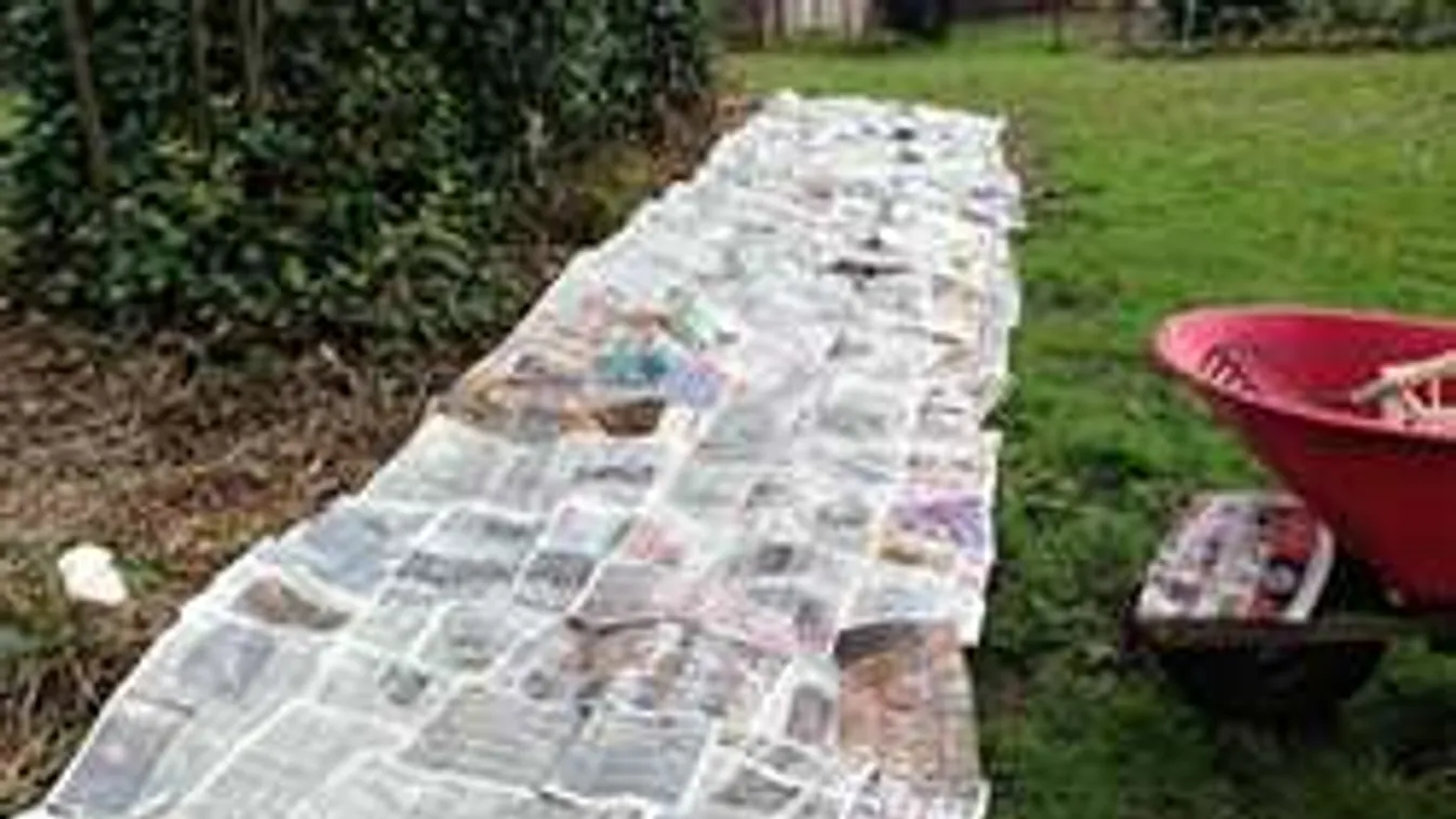 Ezzel a trükkel nem lepi el nyáron a kerted a gaz