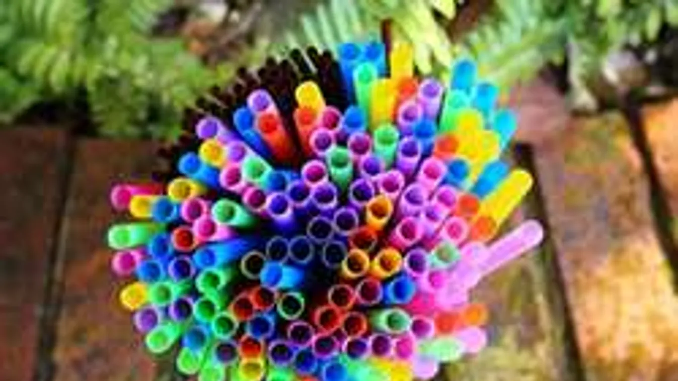 Ezek a legmérgezőbb termékek a százforintos boltokban