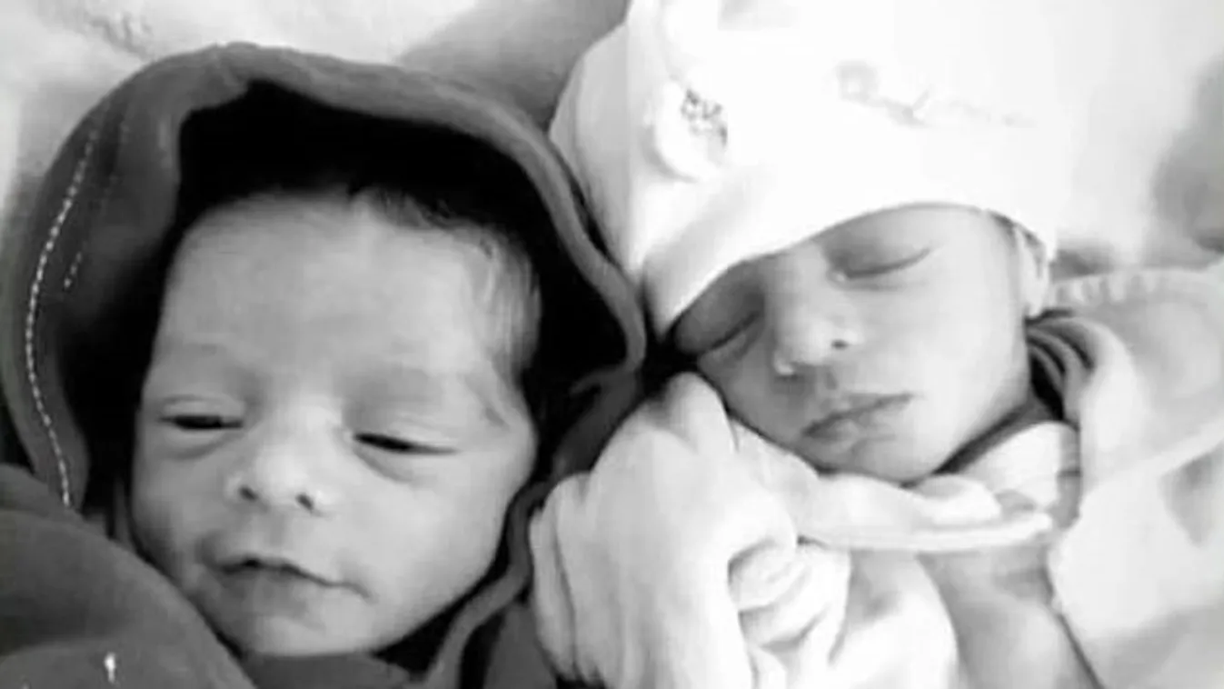 Szörnyű családi tragédia: a kutya széttépte az újszülött ikerlányokat