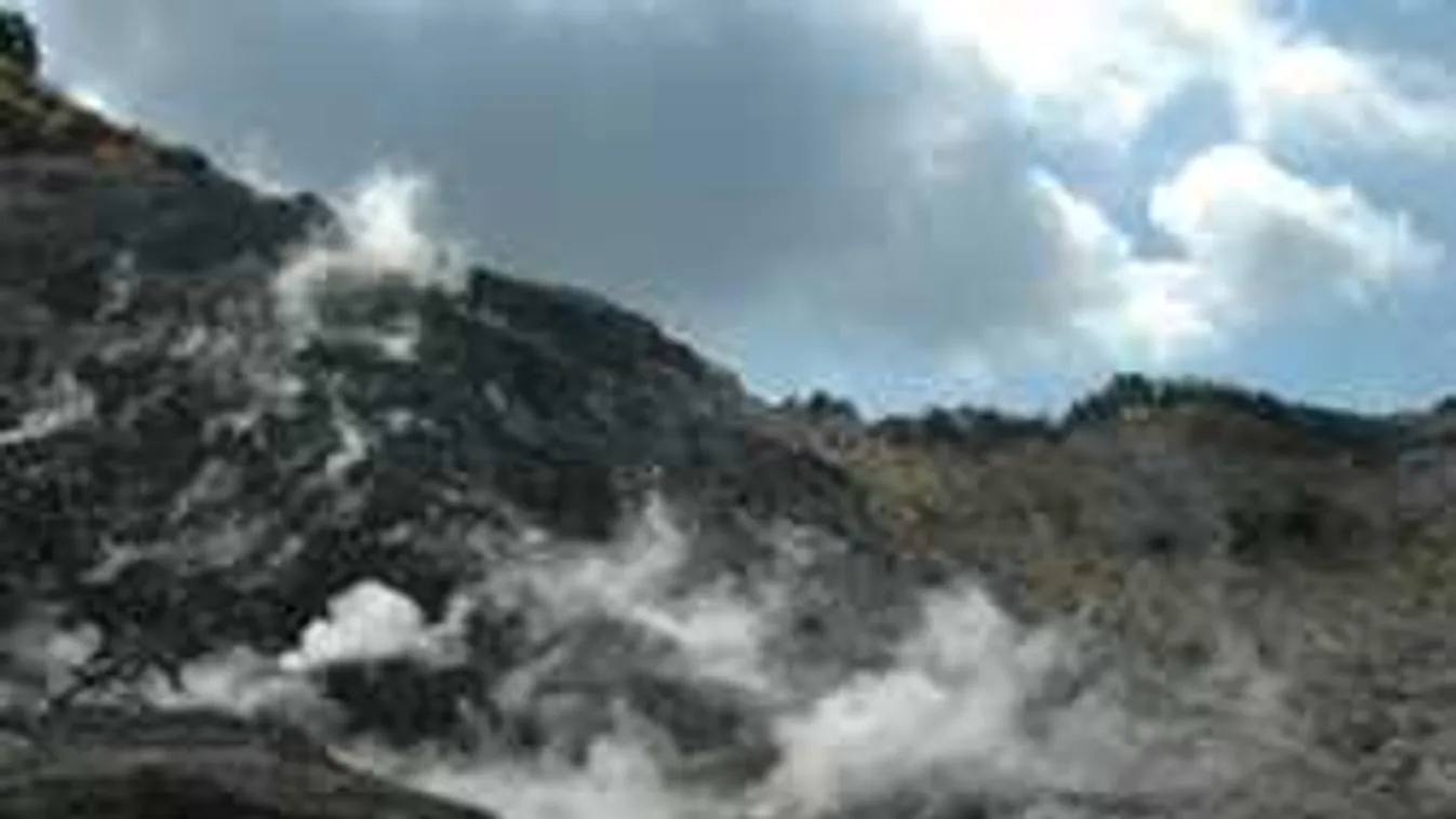 Szörnyű tragédia ért egy családot, a kisfiú látta szülei haláltusáját