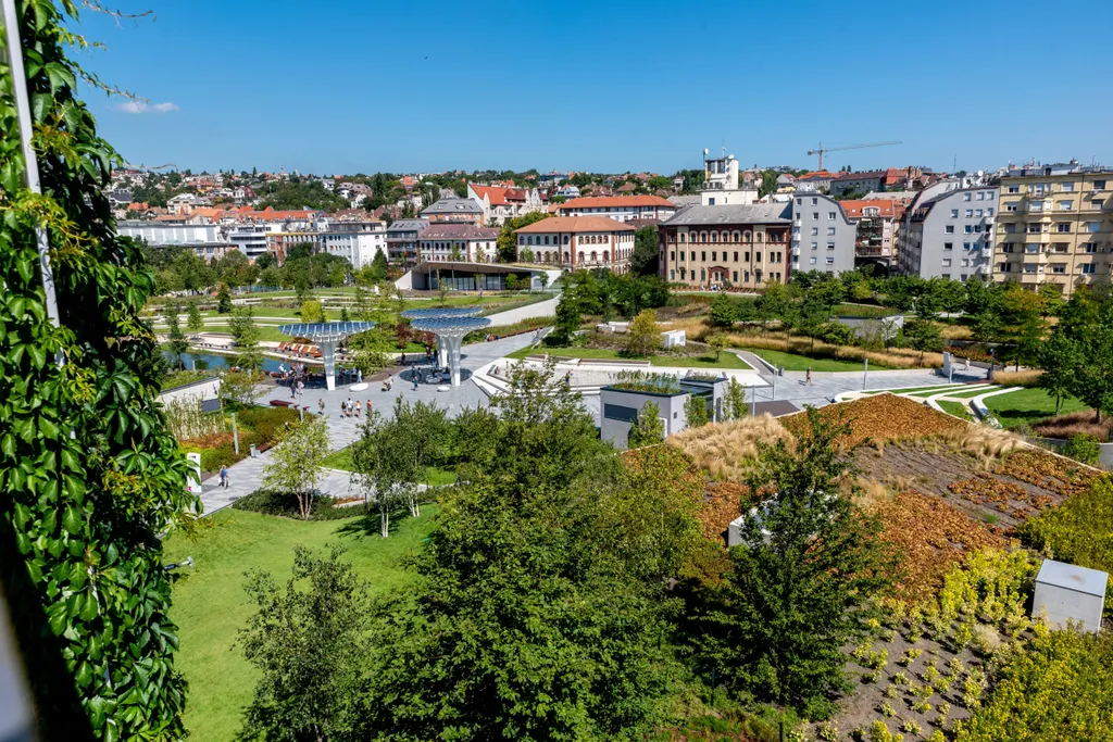 20200821_szellpark_SULY_ripost_17