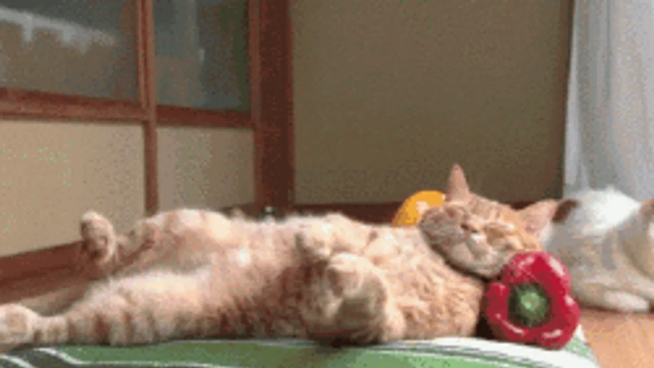 Hidegfront tör be az országba, de nem azt hozza, amire számítanál