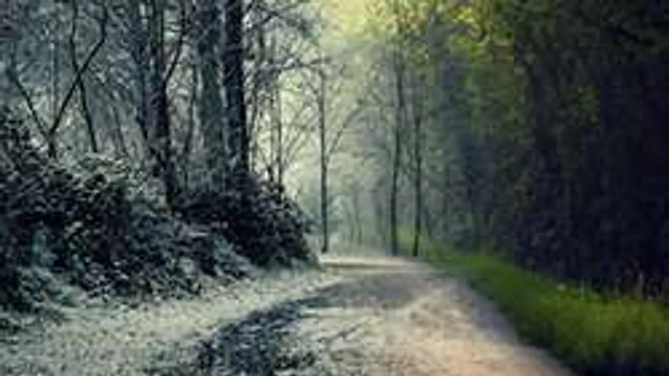 Megbolondul az időjárás: Pénteken havazás, hétvégén szélvihar!