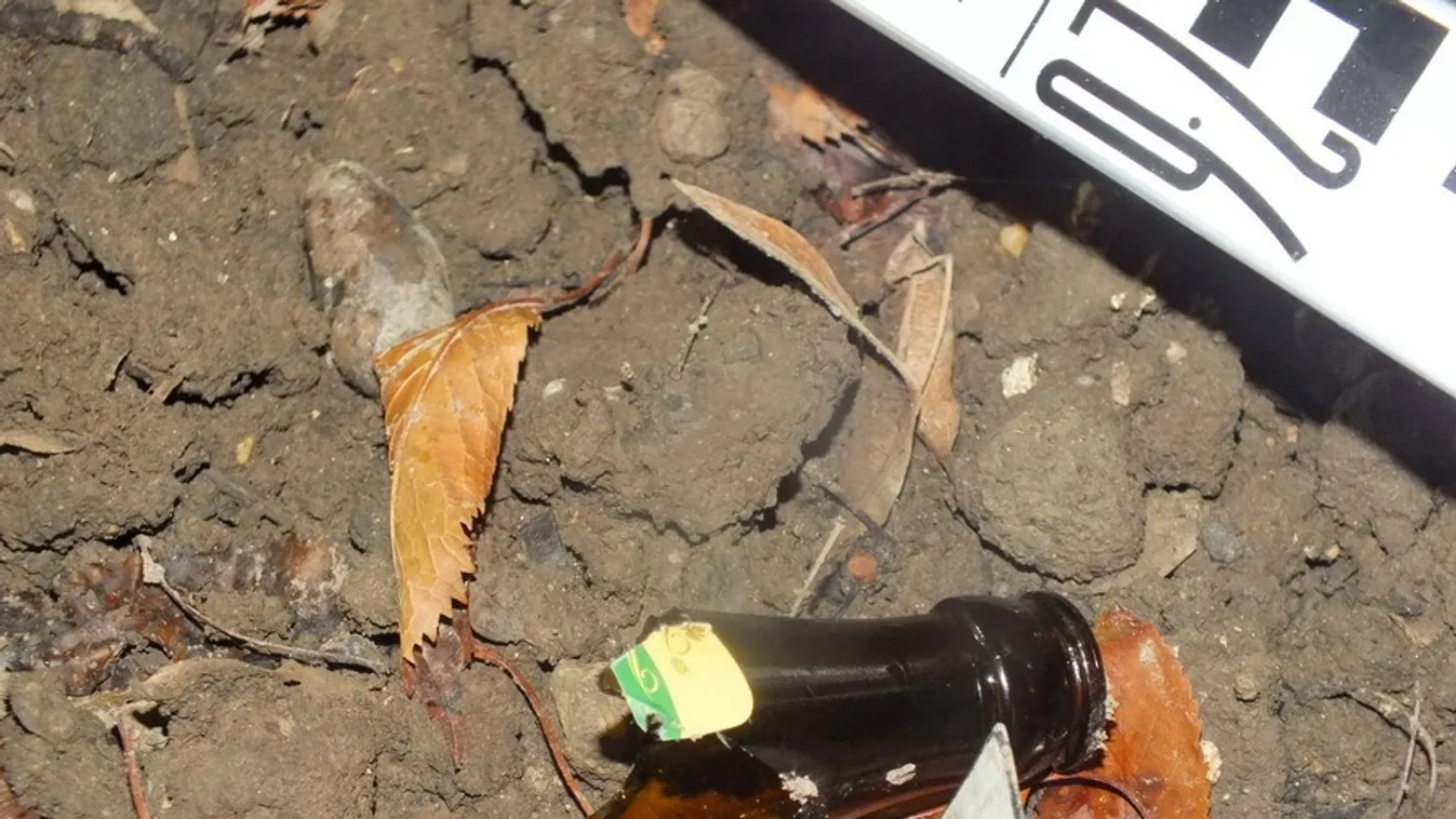 Szerelmi dráma Dunaújvárosban, törött üveggel támadt áldozata nyakára