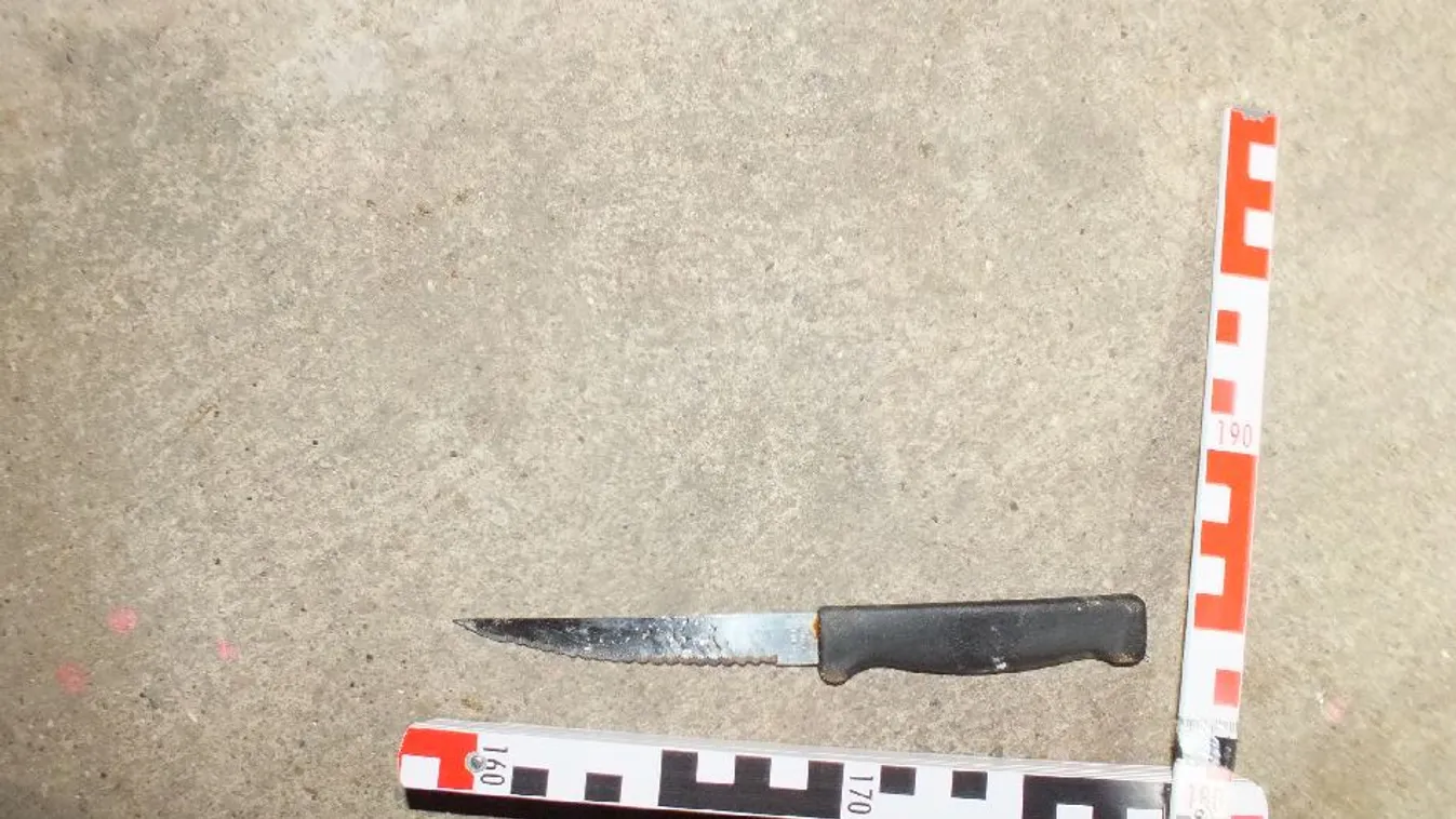 Kegyetlen tinigyilkosság, sportoló szúrta le játék után a rivális lányt