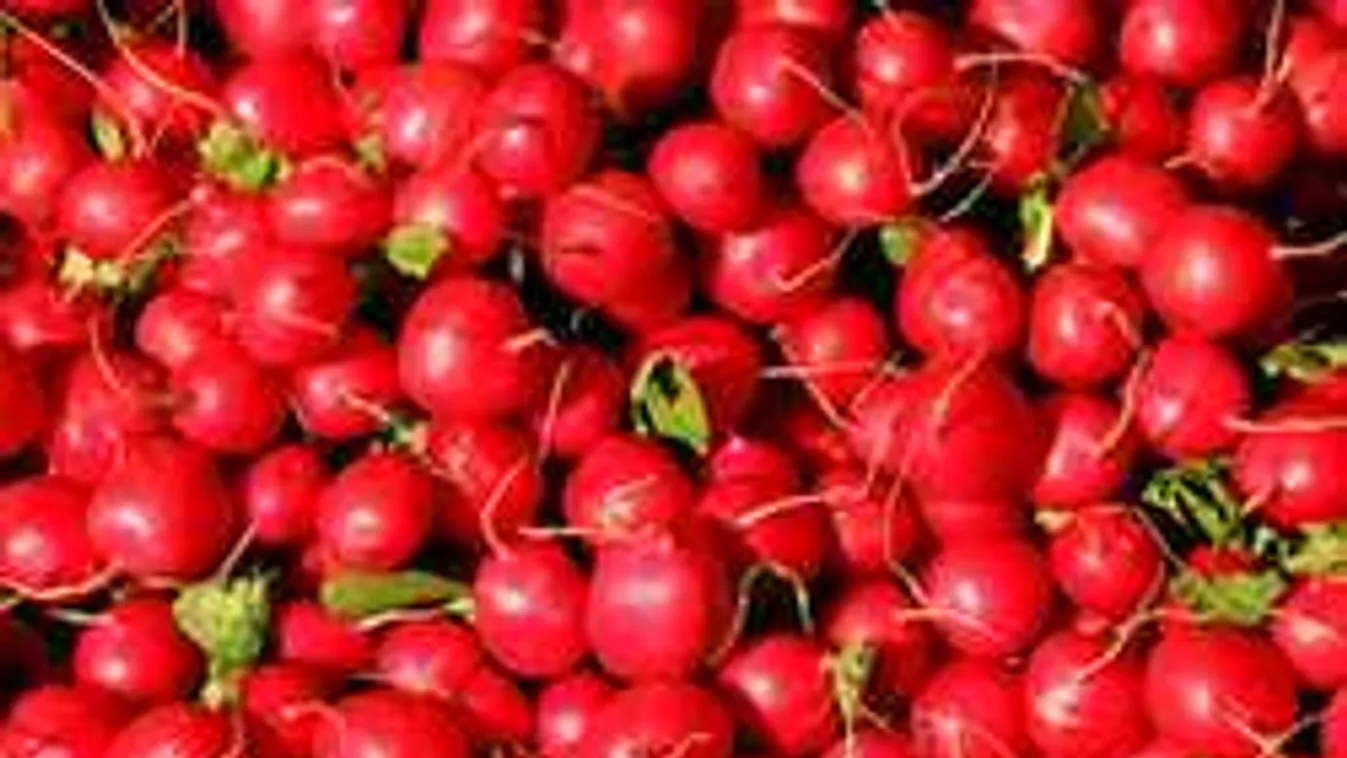 Gyorsan vesd el ezeket a magokat, édenkerted lesz májusra