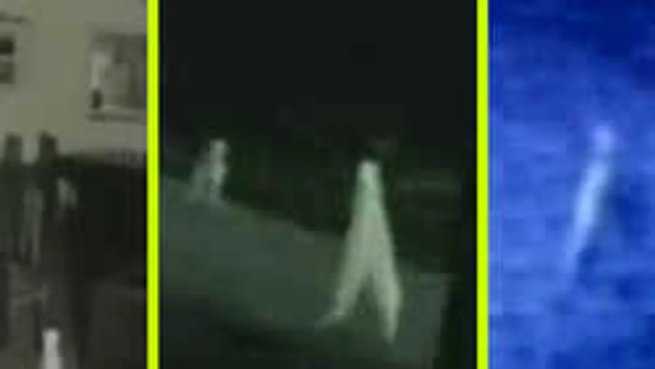 Elképesztően groteszk dolgokat vett fel egy térfigyelő kamera