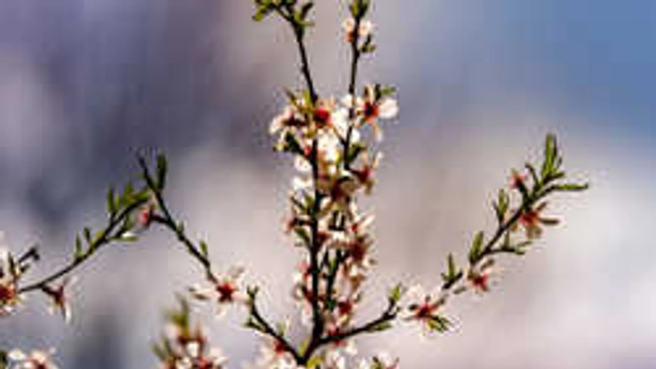 Brutális lehűlés jön, mutatjuk, hol lesz 10 foknál is hidegebb