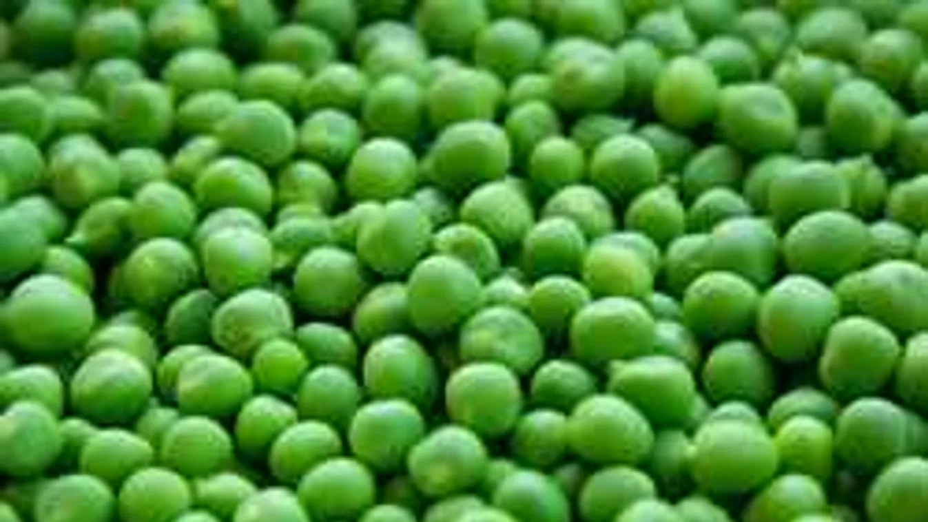 Nő a mirelitpánik, lehet még a polcokon lisztériával fertőzött zöldség